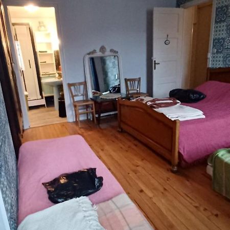 Chez Virginie - Chambre Du Bourg Лурд Экстерьер фото